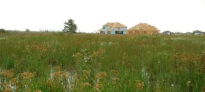 Home construction in prairie wetlands in Texas