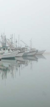 a foggy marina with a row of ships