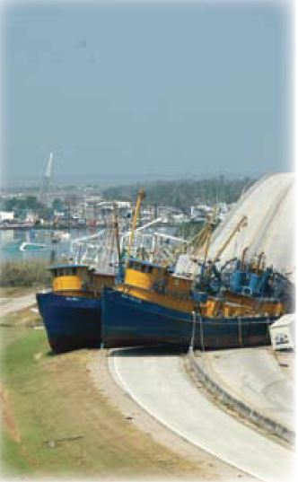 Two large blue and yellow boats sit side by side on at the foot of a bridge on the land.