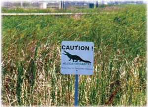 Climate Change Impacts on Wetlands 2