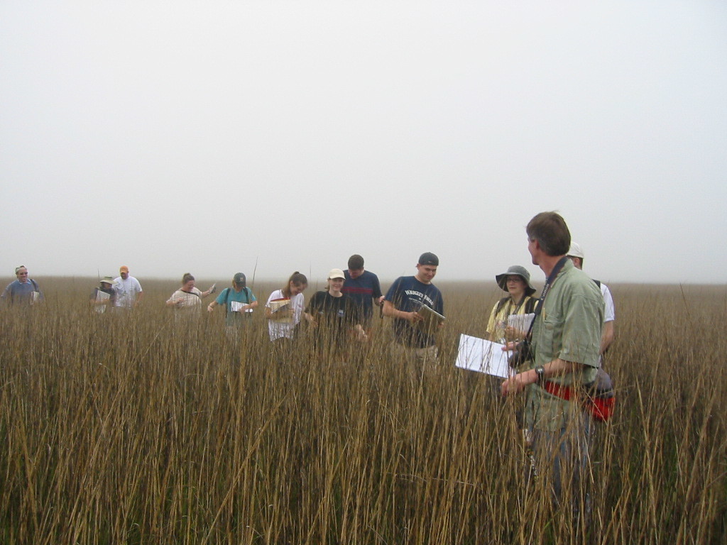 Studying in a wetland