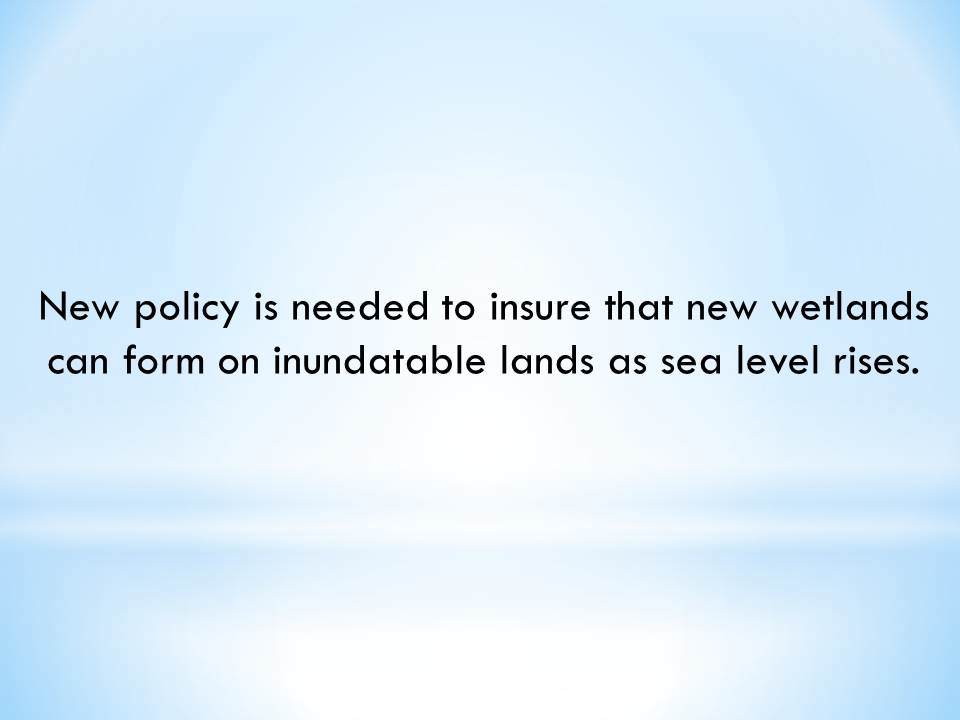 New policy is needed to insure that new wetlands can form on inundatable lands as sea level rises.