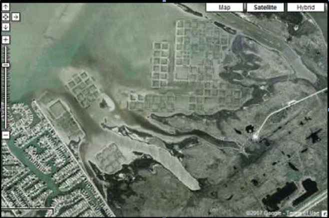 Figure 9: Galveston Island State Park, TX. Reticulated grid pattern in upper center of photograph is a complex of wetlans restored to a previously subsided area through the placement of fill material and transplanting of vegetation. The grid provides for maximum edge, the single most important factor in ecological success of constructed tidal wetlands. Google Maps image captured January 2007.