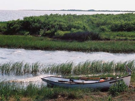 small wood boat on shore near wetlands